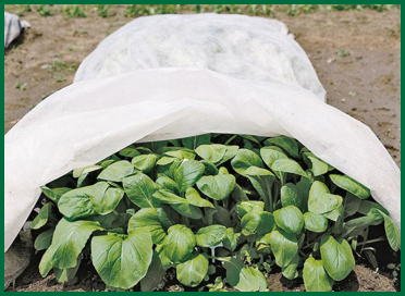 Agri Crop Protection Fabric